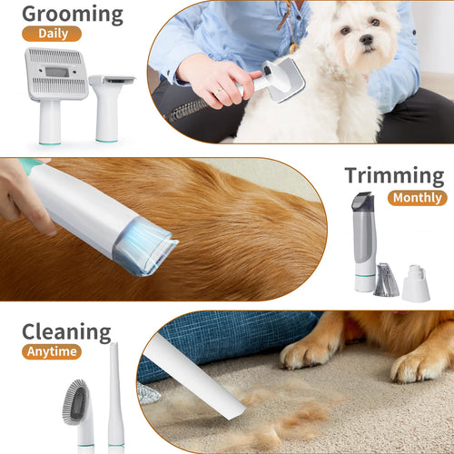 Aspirateur de Toilettage pour Chien & Chat – Kit Brosse & Tondeuse Aspirante Anti-Poils avec Réservoir 1 L Silencieux