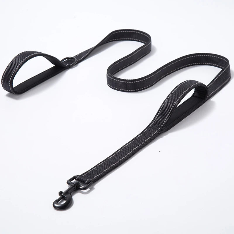 Laisse pour Chien à Double Poignée Rembourrée – Laisse en Nylon Robuste & Réfléchissante pour Balade et Dressage