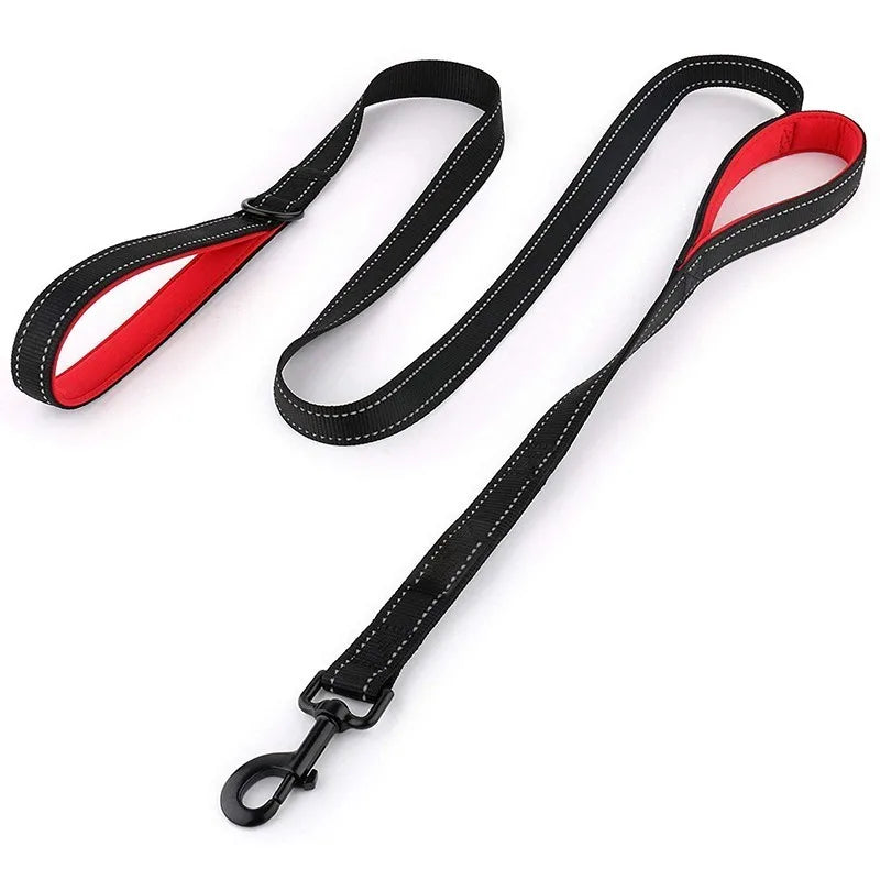 Laisse pour Chien à Double Poignée Rembourrée – Laisse en Nylon Robuste & Réfléchissante pour Balade et Dressage