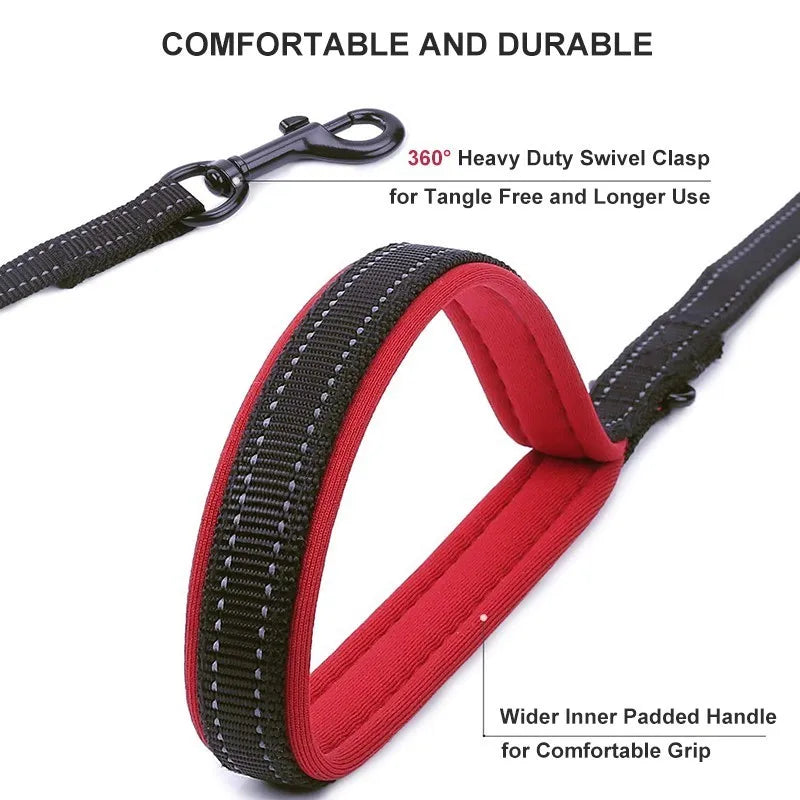 Laisse pour Chien à Double Poignée Rembourrée – Laisse en Nylon Robuste & Réfléchissante pour Balade et Dressage