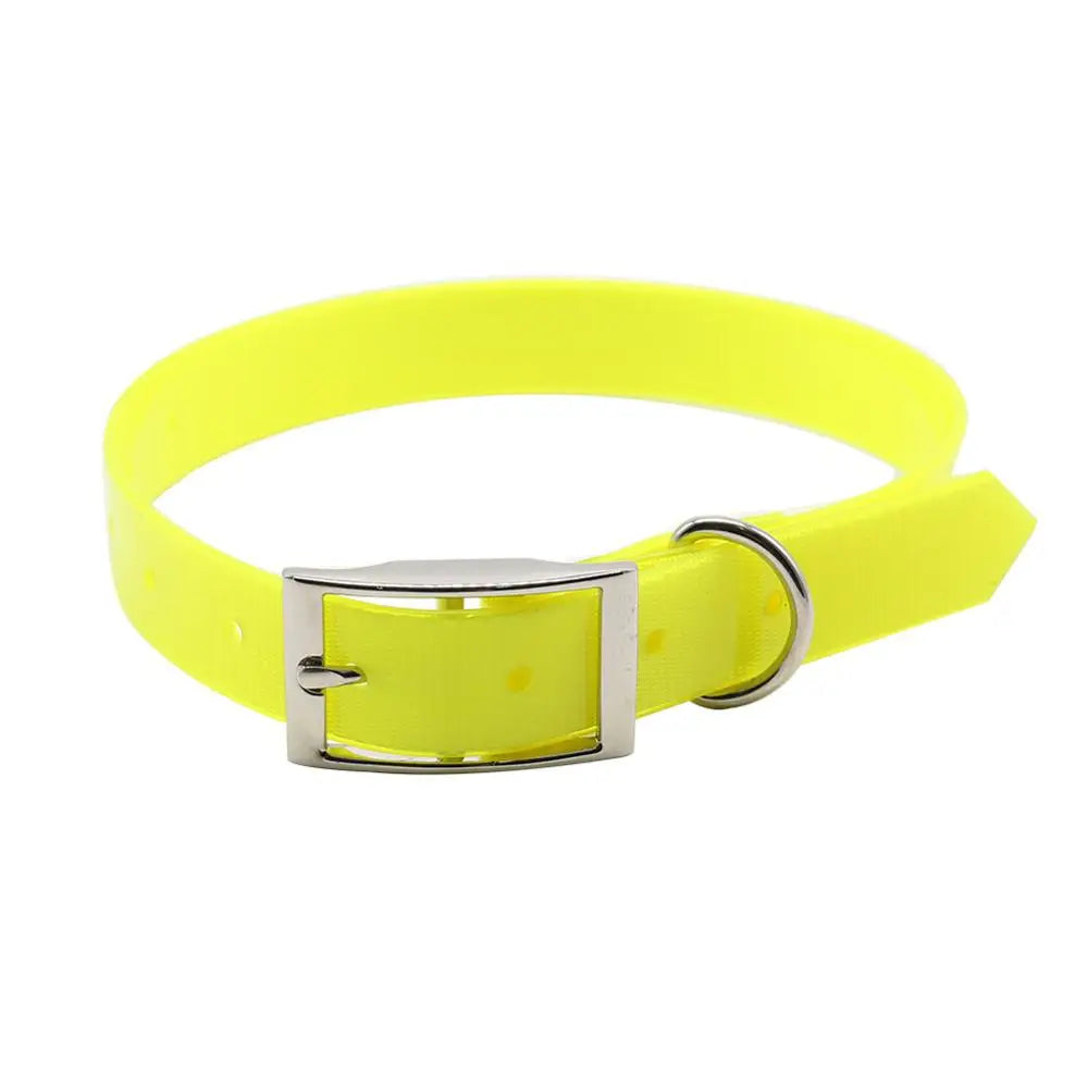 Collier Imperméable en TPU pour Chien – Collier en Nylon Étanche, Anti-Odeurs, Facile à Nettoyer & Haute Résistance