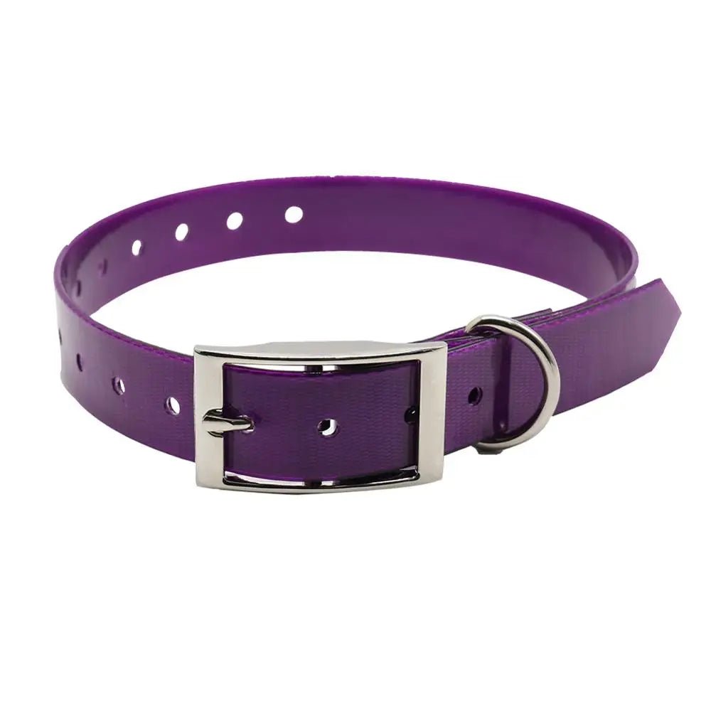 Collier Imperméable en TPU pour Chien – Collier en Nylon Étanche, Anti-Odeurs, Facile à Nettoyer & Haute Résistance