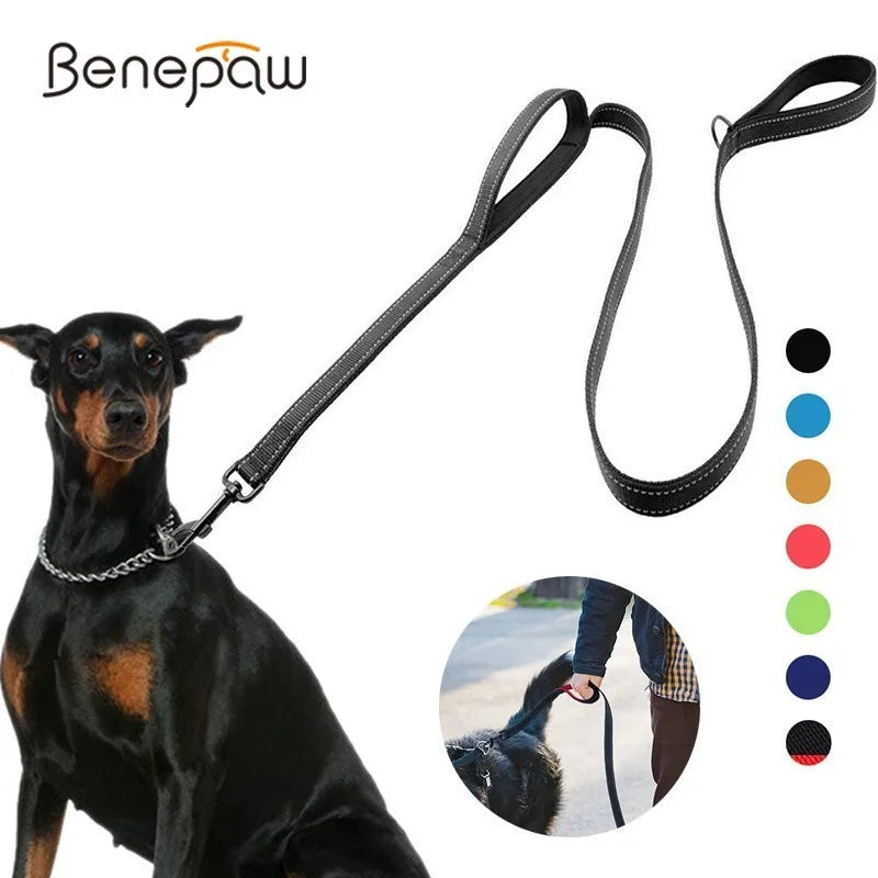Laisse pour Chien à Double Poignée Rembourrée – Laisse en Nylon Robuste & Réfléchissante pour Balade et Dressage