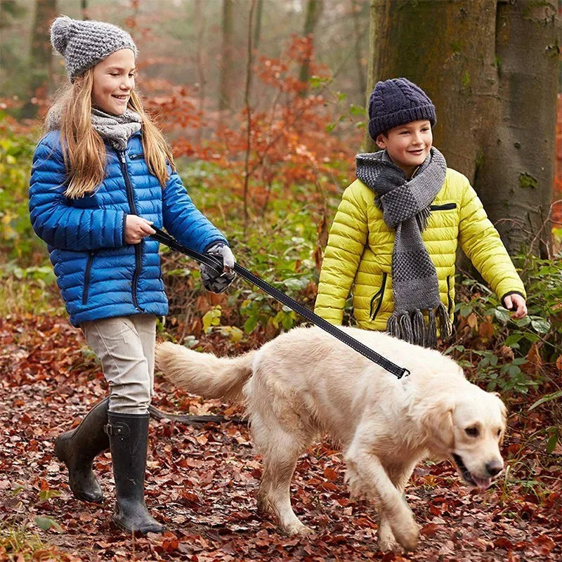 Laisse pour Chien à Double Poignée Rembourrée – Laisse en Nylon Robuste & Réfléchissante pour Balade et Dressage
