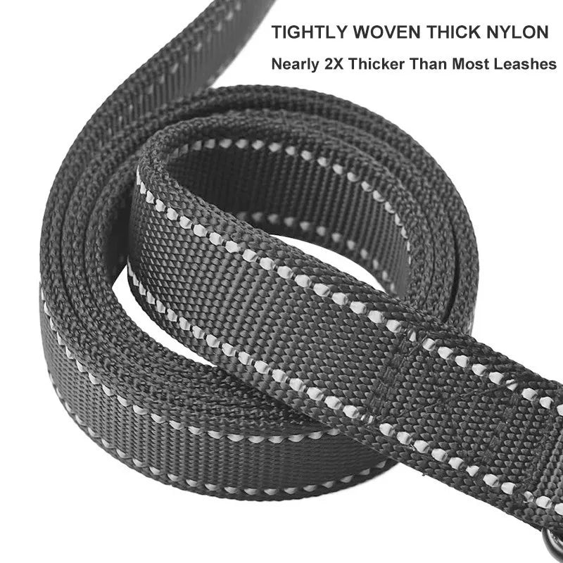 Laisse pour Chien à Double Poignée Rembourrée – Laisse en Nylon Robuste & Réfléchissante pour Balade et Dressage