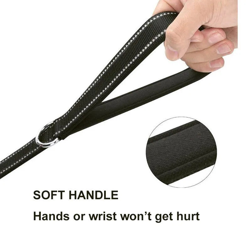 Laisse pour Chien à Double Poignée Rembourrée – Laisse en Nylon Robuste & Réfléchissante pour Balade et Dressage