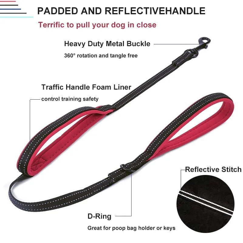 Laisse pour Chien à Double Poignée Rembourrée – Laisse en Nylon Robuste & Réfléchissante pour Balade et Dressage