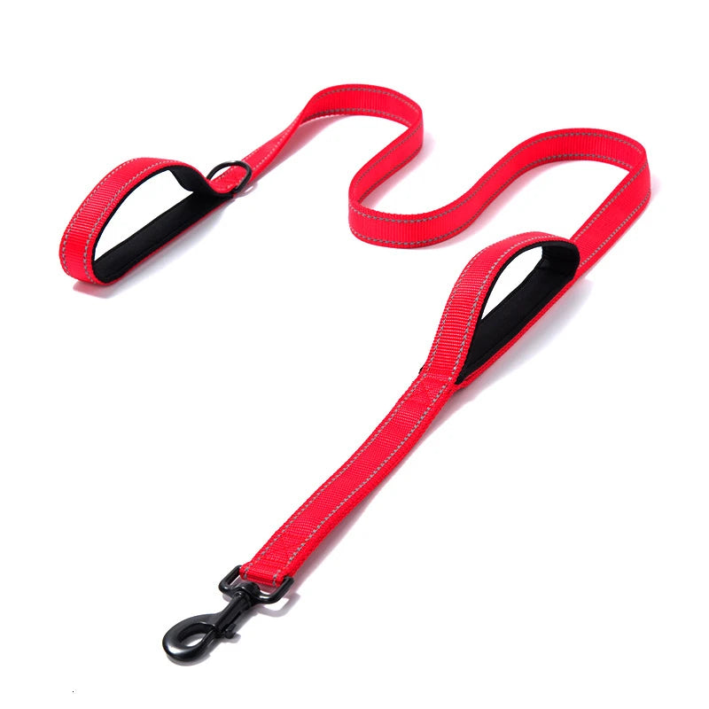 Laisse pour Chien à Double Poignée Rembourrée – Laisse en Nylon Robuste & Réfléchissante pour Balade et Dressage