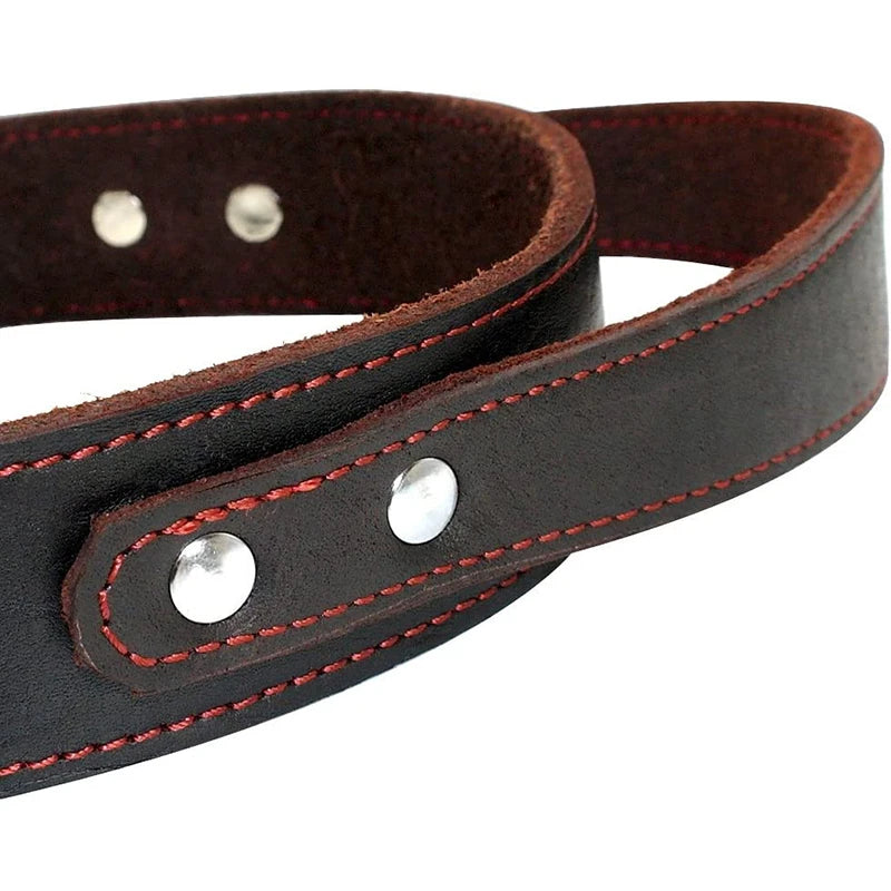 Collier pour Chien en Cuir Véritable avec Poignée de Contrôle – Collier Robuste & Rembourré pour Moyens et Grands Chiens