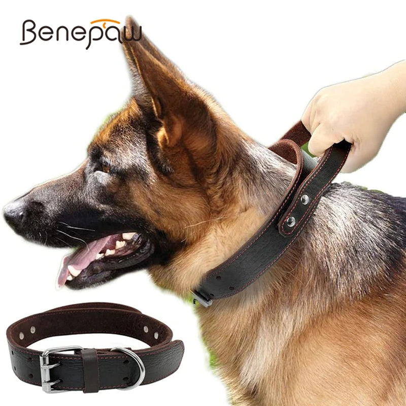 Collier pour Chien en Cuir Véritable avec Poignée de Contrôle – Collier Robuste & Rembourré pour Moyens et Grands Chiens