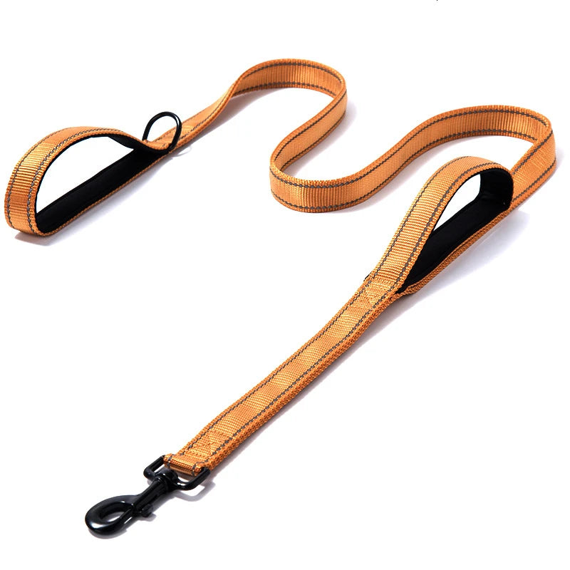 Laisse pour Chien à Double Poignée Rembourrée – Laisse en Nylon Robuste & Réfléchissante pour Balade et Dressage