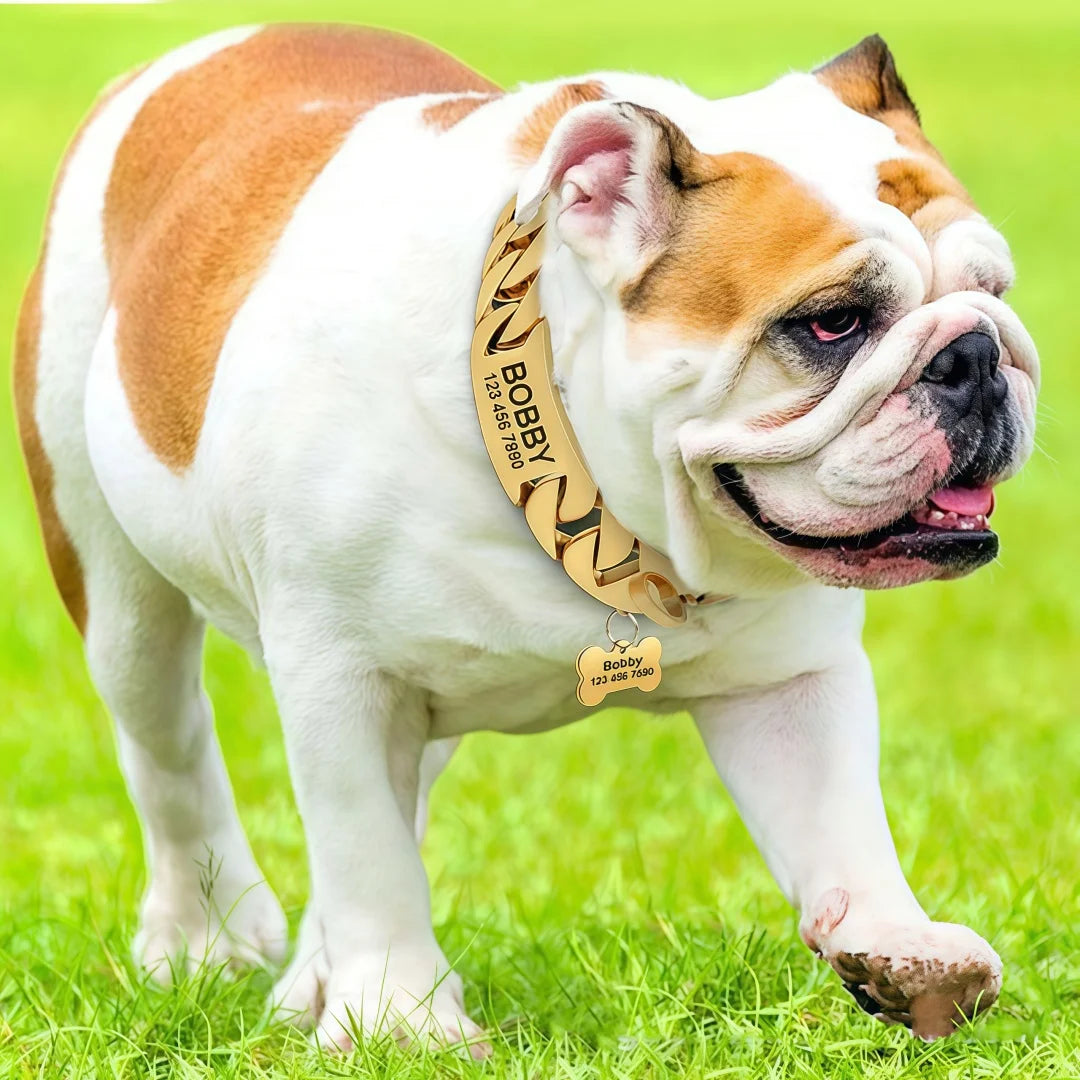 Strong Metal Titanium Solid Steel Collar 32mmStainless Steel Gold Dog Collar Lettering Custom Chain Bully French Fight Large Dog