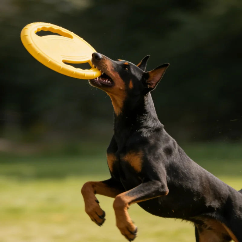 Dogs EVA Flying Disc Tooth Chew Play Train Toy Indestructible Pet Supplies Toys Large Safe Small Dog Joint Tough Toys Resistant