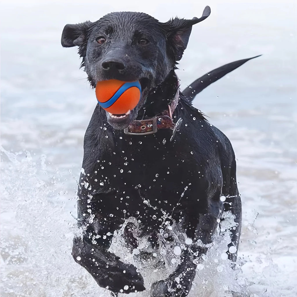 Durable Silicone Dog Chew Ball - Interactive Pet Toy for Medium Breeds, Teeth Cleaning & Playtime Fun, Dog Toys
