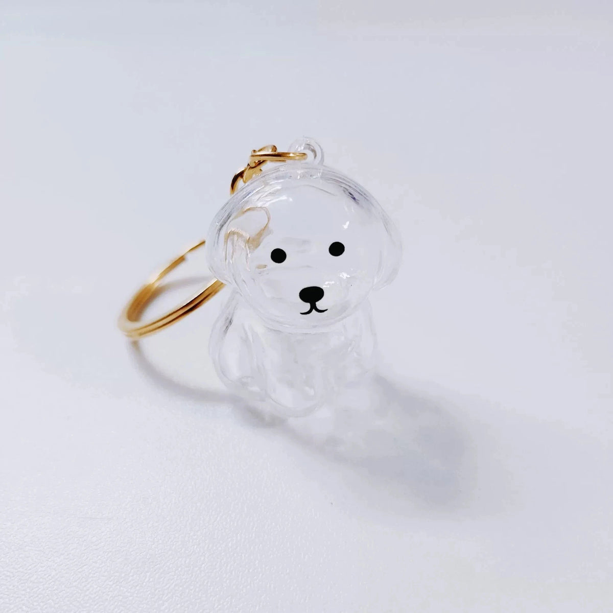 Porte-Clés Souvenir pour Poils de Chien & Chat – Pendentif Capsule Transparente pour Sac & Clés, Bijou Mémoire Animalier