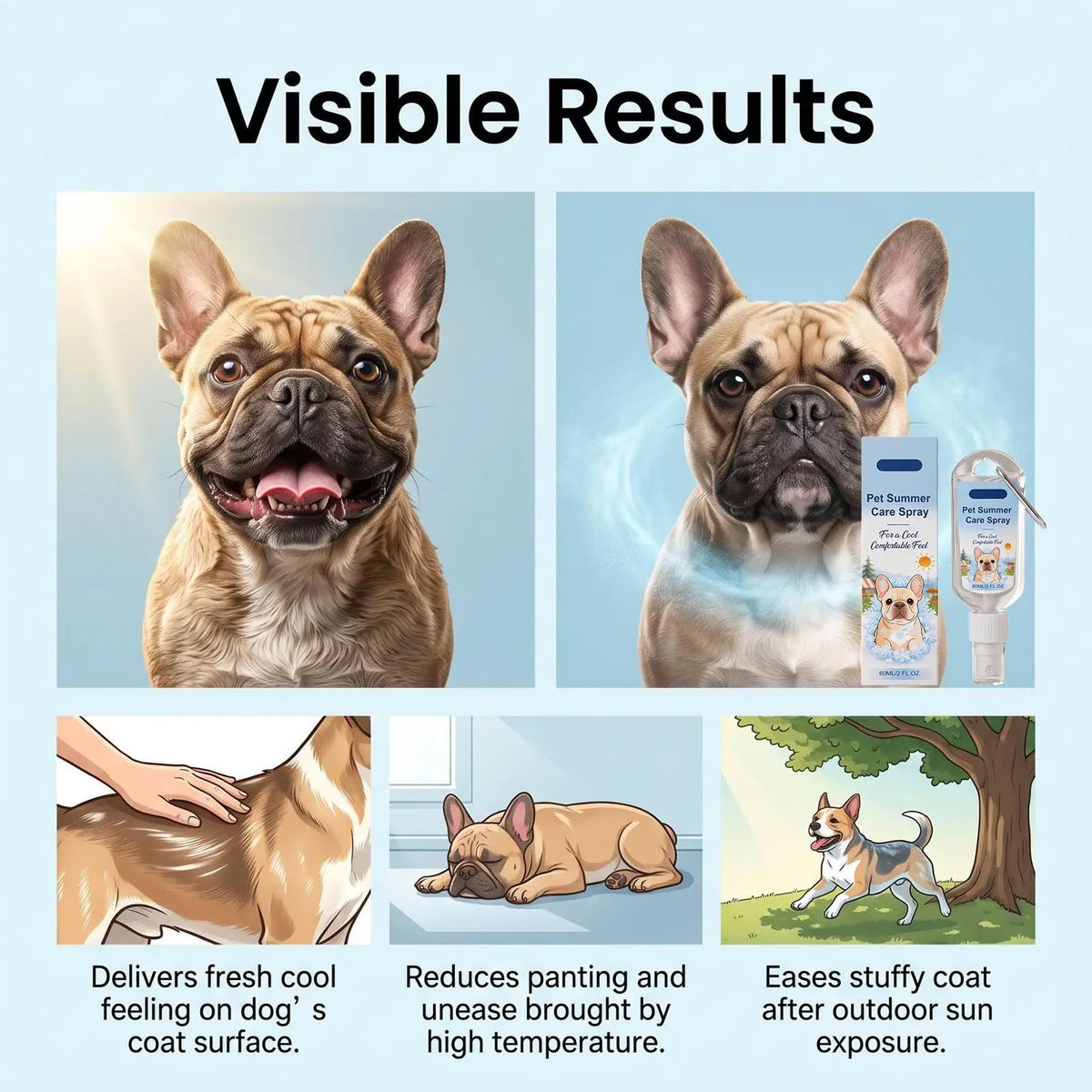 Spray Rafraîchissant pour Chien (60 ml) – Brume Apaisante Anti-Coup de Chaleur, Soin Hydratant Nomade pour Balade & Été