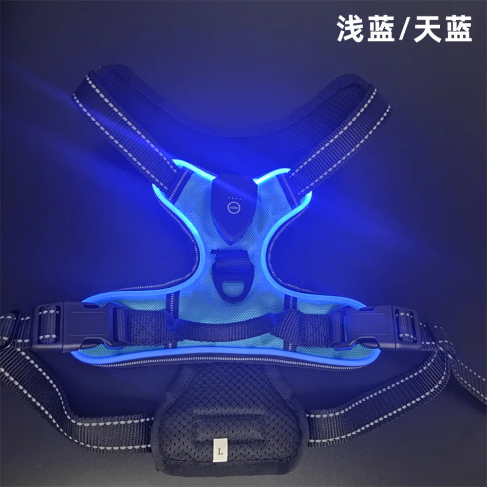Gilet Harnais Lumineux LED pour Chien Réfléchissant & Réglable – Gilet de Sécurité Nuit & Anti-Collision