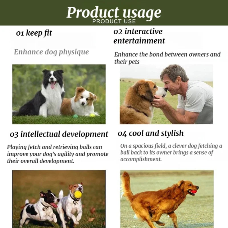 Pistolet Lanceur de Balles de Tennis pour Chien – Jouet Interactif de Plein Air, Dressage au Rapport & Tir Longue Distance Sans Effort