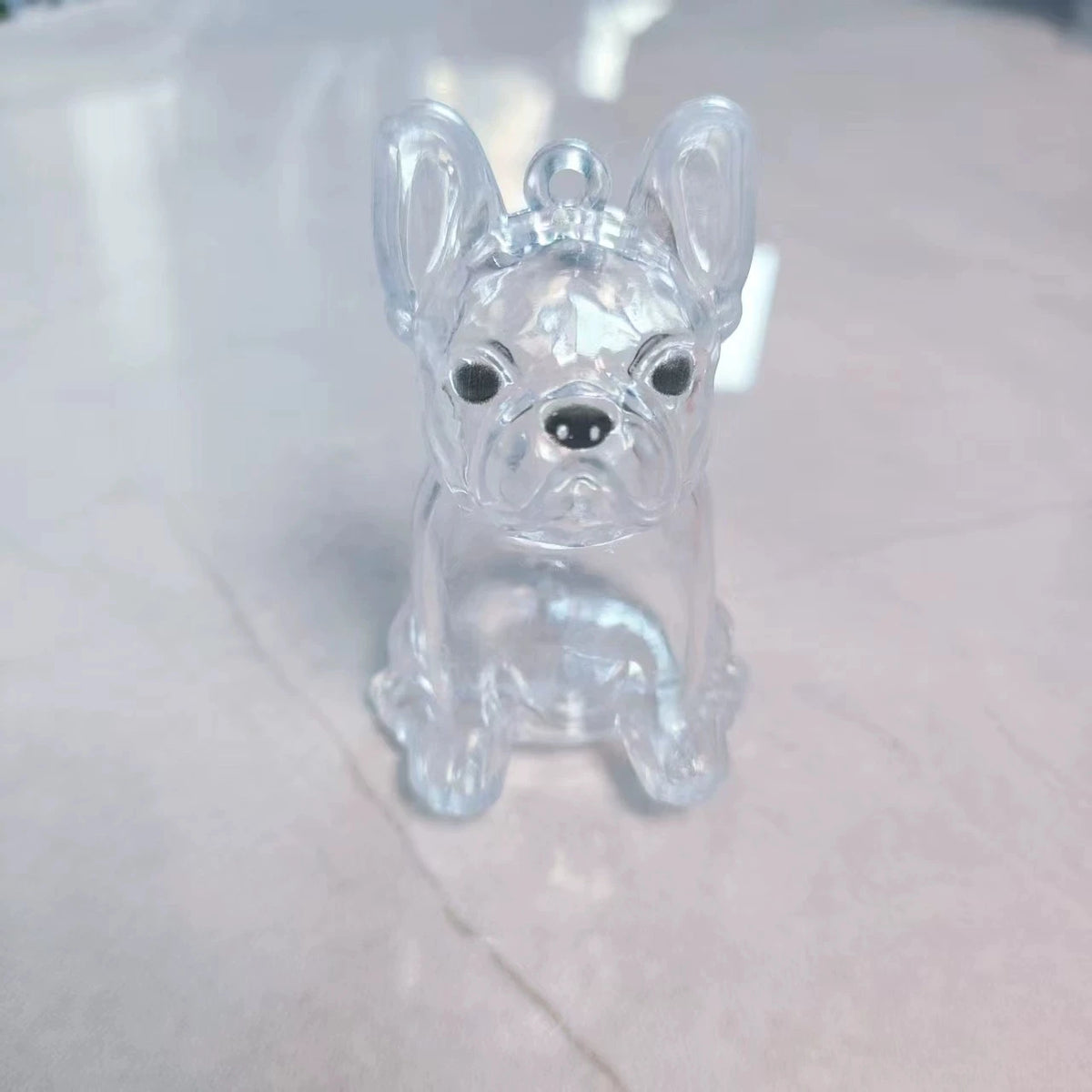 Porte-Clés Souvenir pour Poils de Chien & Chat – Pendentif Capsule Transparente pour Sac & Clés, Bijou Mémoire Animalier
