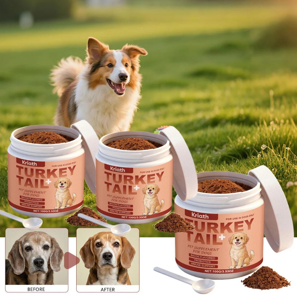 Complément Turkey Tail & Probiotiques pour Chien Saveur Bacon – Soutien Immunitaire, Confort Articulaire & Digestion pour Chien Senior