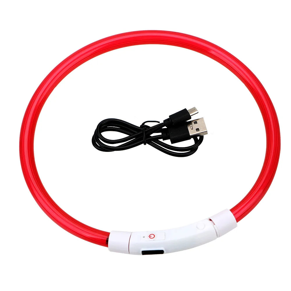 Collier Lumineux LED pour Chien Rechargeable USB – Collier de Sécurité Nuit Haute Visibilité & Anti-Perte