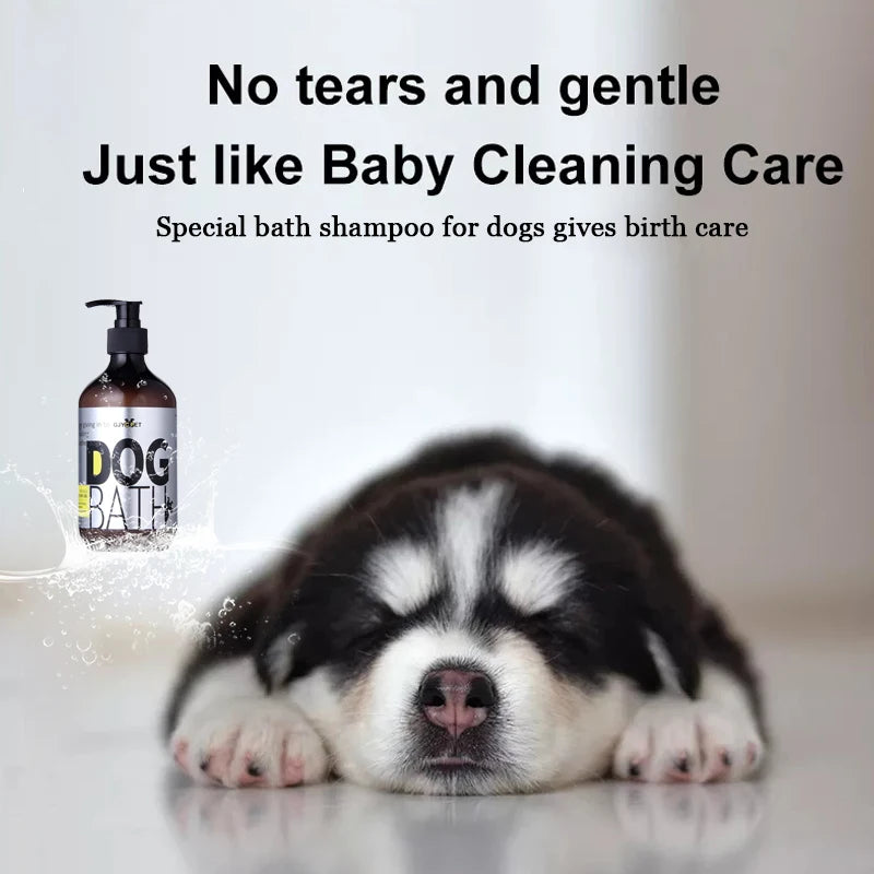 Shampoing Apaisant Anti-Démangeaisons pour Chien & Chat (100 ml) – Soin Peau Sèche, Action Anti-Puces & Tiques, Douceur & Brillance du Pelage