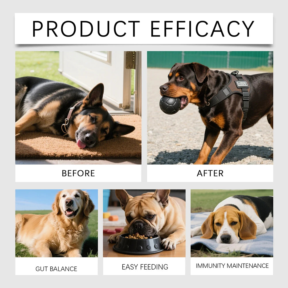 Bouchées Anti-Allergies & Soutien Immunitaire pour Chien (200 g) – Friandises Apaisantes Anti-Démangeaisons, Léchage des Pattes & Peau Sensible