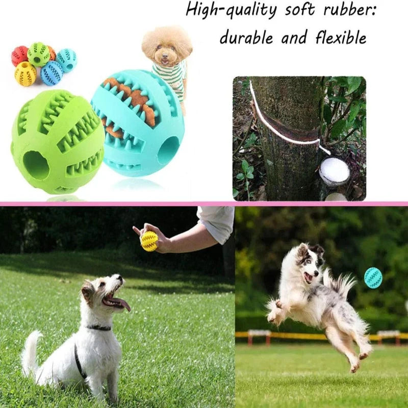 Balle Interactive pour Chien & Chiot – Jouet en Caoutchouc Distributeur de Friandises & Nettoyeur de Dents