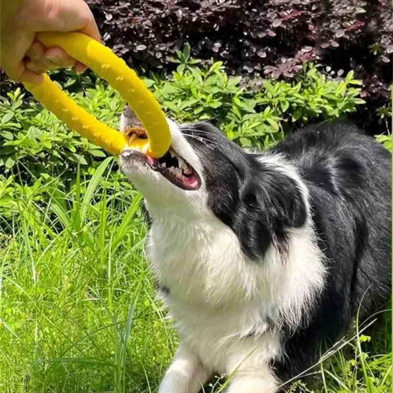 Dog Ring Toys Indestructible Chewing Flying Floating Training Tools Fetch for Small Medium Large Dogs Throwing Catching Flying