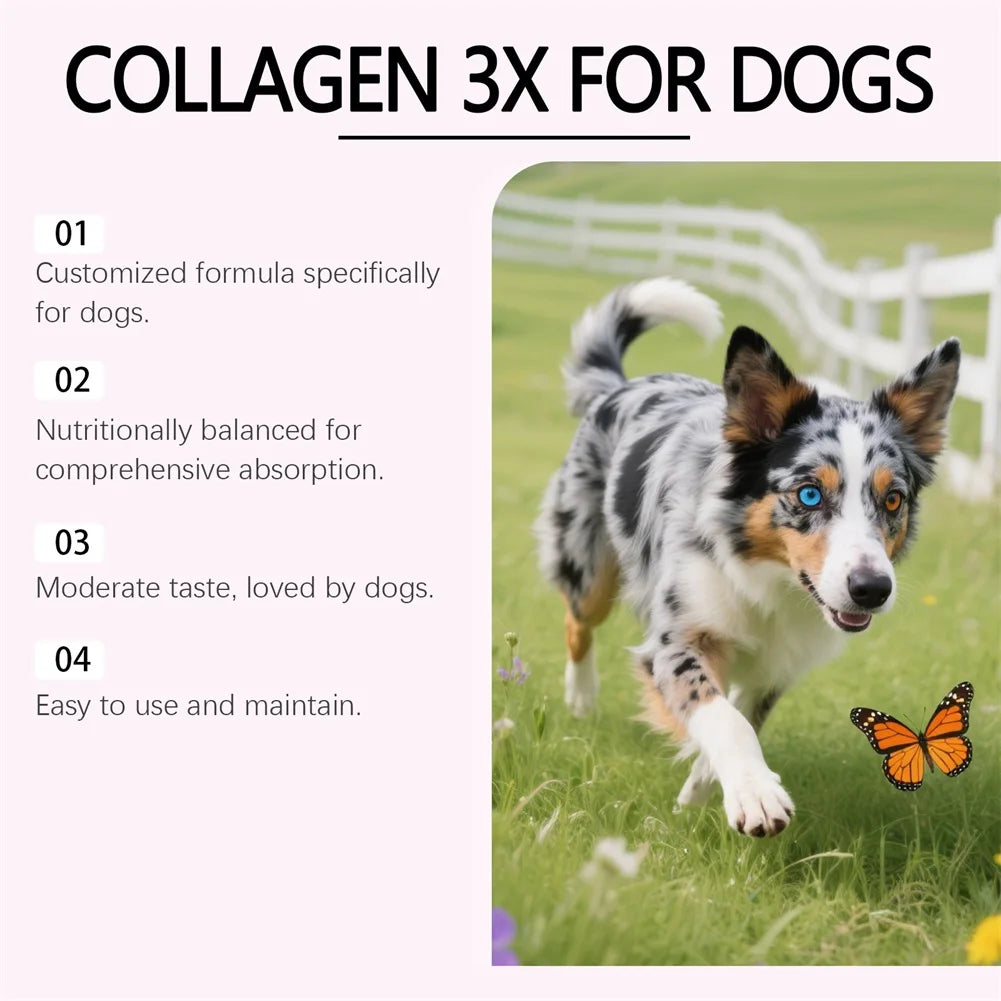 Gouttes de Collagène Liquide pour Chien – Soin Pelage Brillant, Peau Saine, Confort Articulaire & Digestion