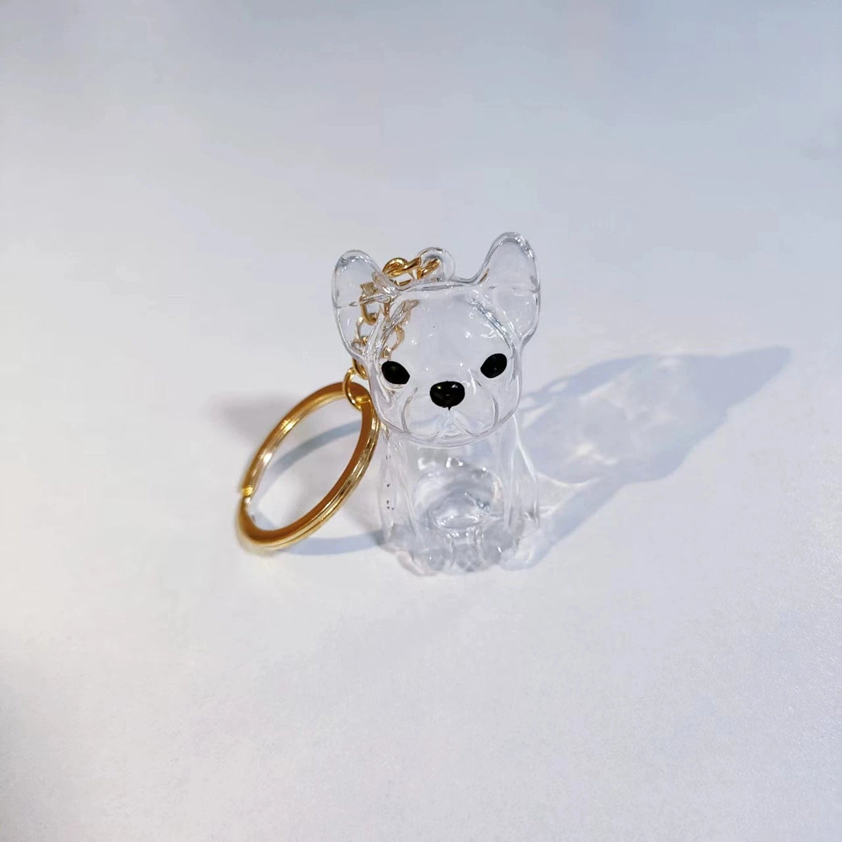 Porte-Clés Souvenir pour Poils de Chien & Chat – Pendentif Capsule Transparente pour Sac & Clés, Bijou Mémoire Animalier
