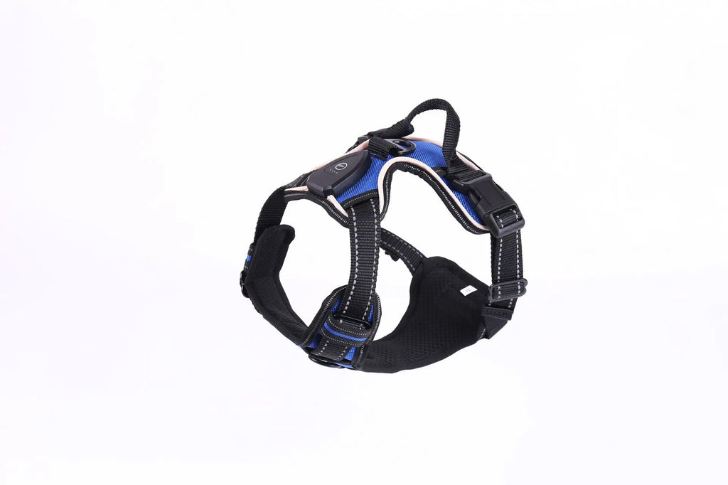 Gilet Harnais Lumineux LED pour Chien Réfléchissant & Réglable – Gilet de Sécurité Nuit & Anti-Collision