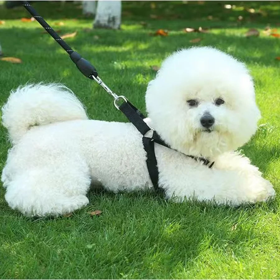 Harnais pour Chien Ergonomique & Réglable – Harnais Veste Anti-Traction Respirant pour Chiot, Moyen & Grand Chien