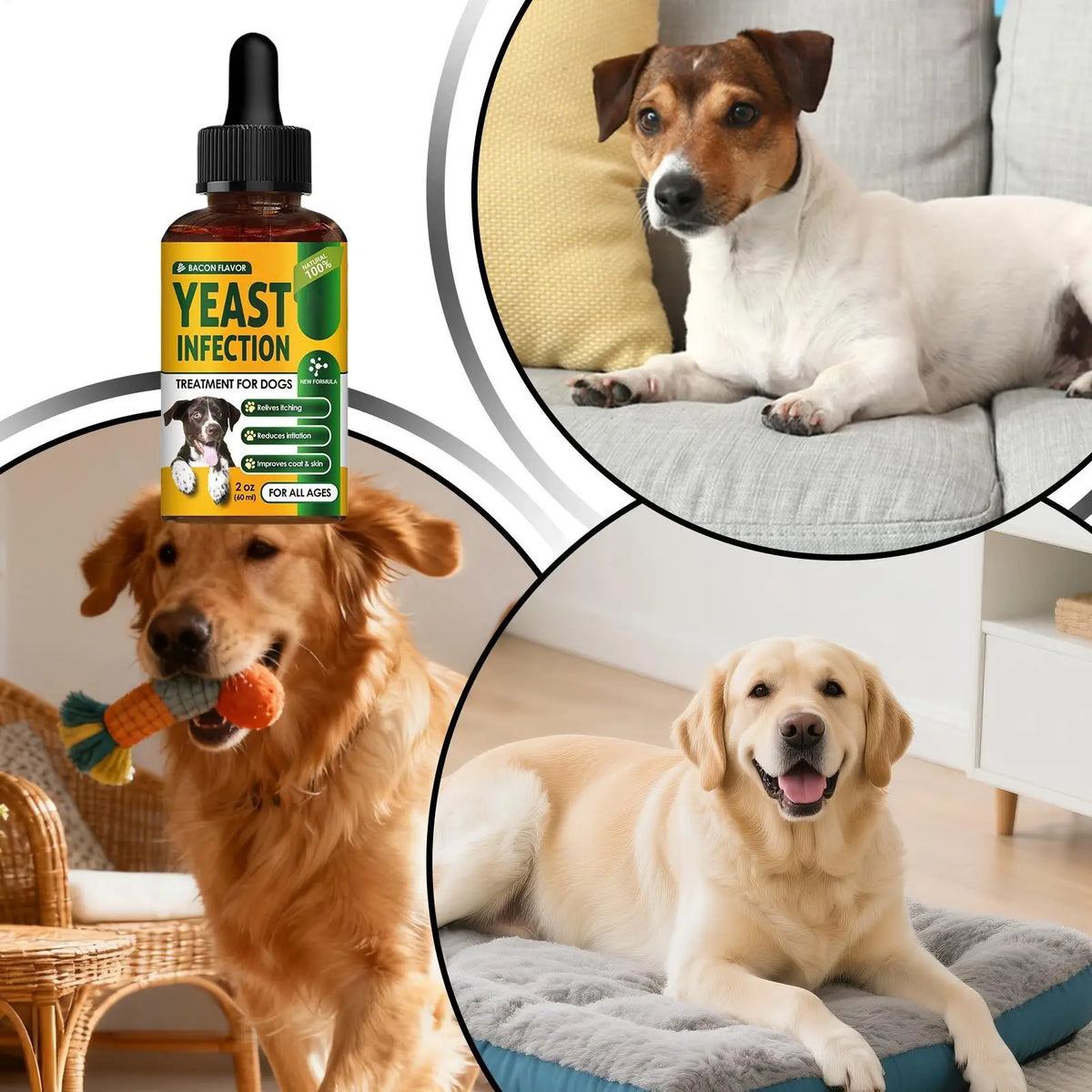 Huile Apaisante Anti-Démangeaisons pour Chien & Chiot (60 ml) – Soin Naturel Nourrissant Peau Sèche, Irritations & Brillance du Pelage