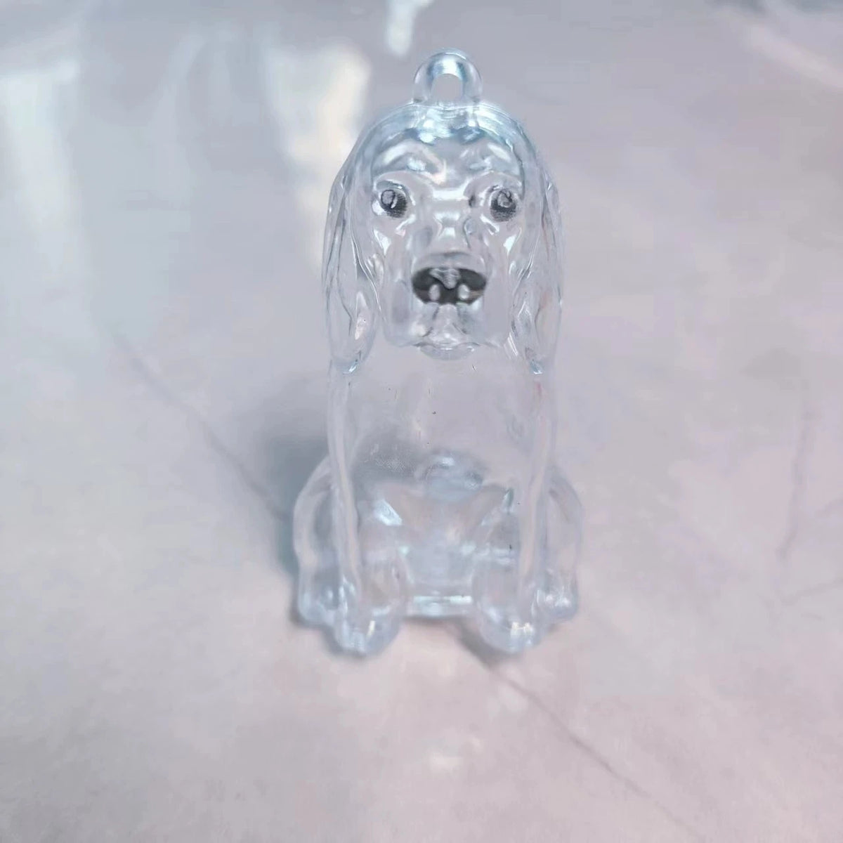 Porte-Clés Souvenir pour Poils de Chien & Chat – Pendentif Capsule Transparente pour Sac & Clés, Bijou Mémoire Animalier