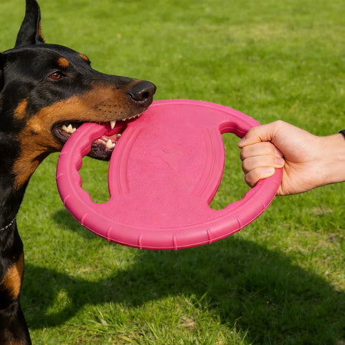 Frisbee Indestructible en EVA pour Chien – Disque Volant Flottant & Souple pour Dressage, Mastication & Plein Air