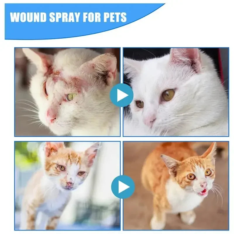Spray Apaisant Anti-Démangeaisons pour Chien & Chat (30 ml) – Soin Cutané Sans Rinçage, Peau Sensible, Rougeurs & Irritations