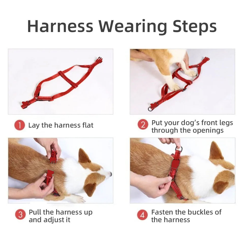 Harnais pour Chien Ergonomique & Réglable – Harnais Veste Anti-Traction Respirant pour Chiot, Moyen & Grand Chien