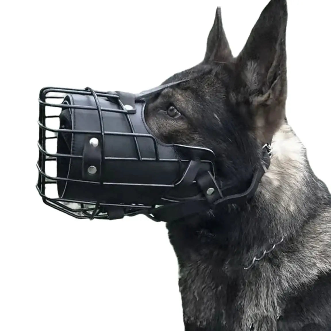 Muselière Tactique en Métal pour Chien – Panier Respirant Anti-Morsure & Sécurité Dressage Grands Chiens