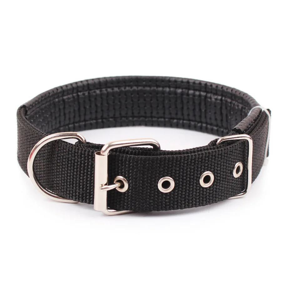 Collier en Nylon Uni Réglable pour Chien – Collier Classique Résistant avec Boucle Rapide pour Petit, Moyen & Grand Chien