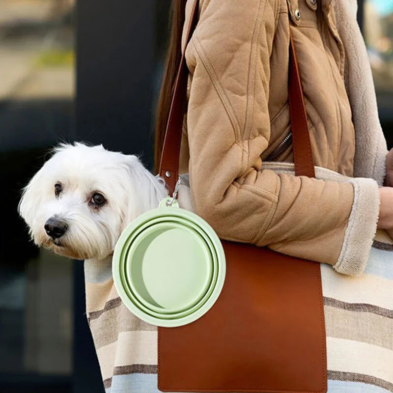 Gamelle Pliable de Voyage 350 ml pour Chien – Écuelle Nomade en Silicone avec Mousqueton pour Eau & Croquettes
