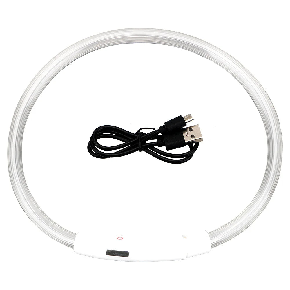 Collier Lumineux LED pour Chien Rechargeable USB – Collier de Sécurité Nuit Haute Visibilité & Anti-Perte