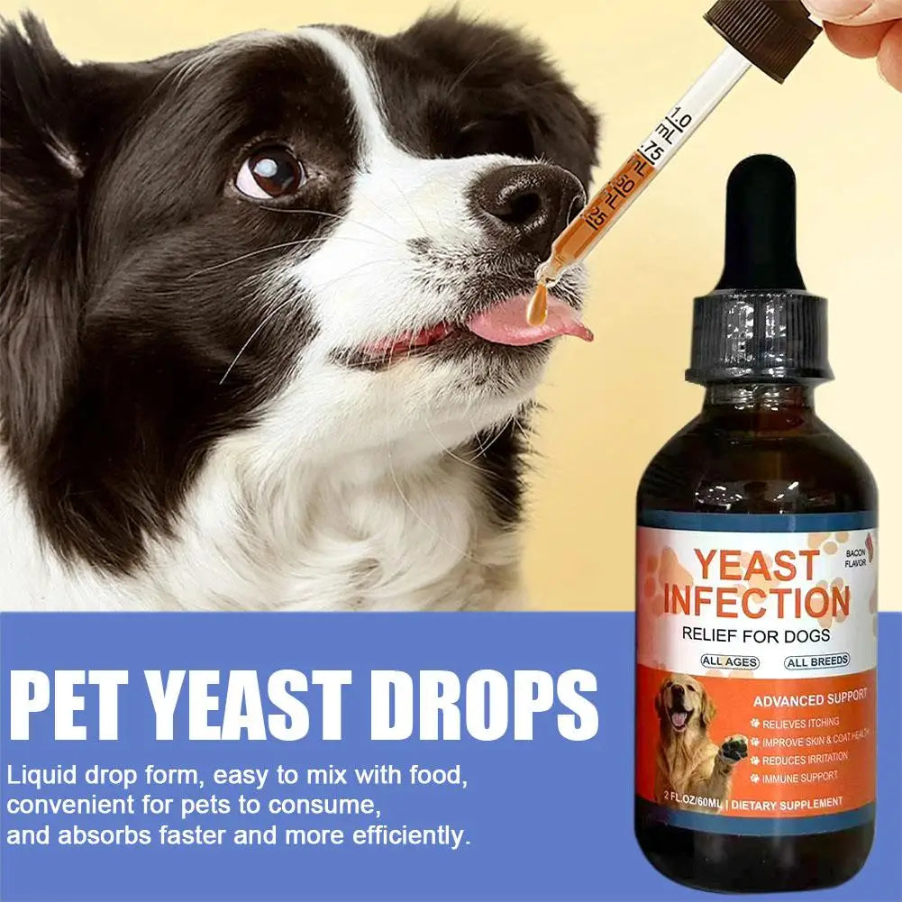 Gouttes de Soin Peau & Pelage aux Plantes pour Chien (60 ml) – Complément Liquide Apaisant Anti-Démangeaisons & Brillance du Poil