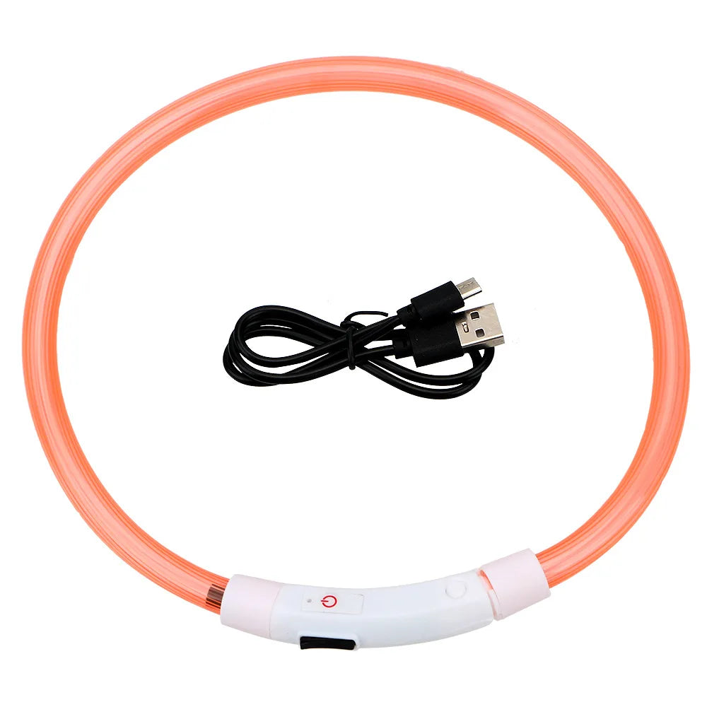 Collier Lumineux LED pour Chien Rechargeable USB – Collier de Sécurité Nuit Haute Visibilité & Anti-Perte