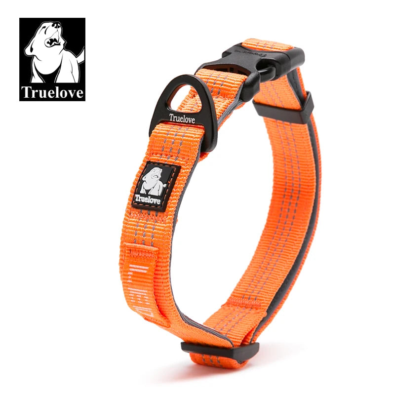 Collier en Nylon Réfléchissant Truelove pour Chien – Collier Réglable Rembourré, Confort & Haute Visibilité Nuit (TLC5271)