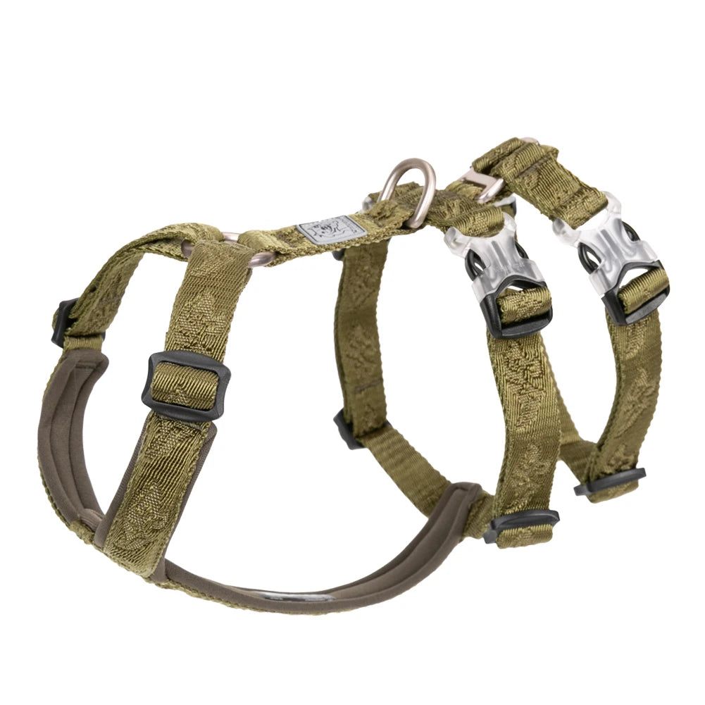 Harnais Anti-Fuite & Sécurité Renforcée Winhyepet pour Chien – Harnais 3 Points Réglable, Anti-Traction & Respirant pour Balade et Voyage