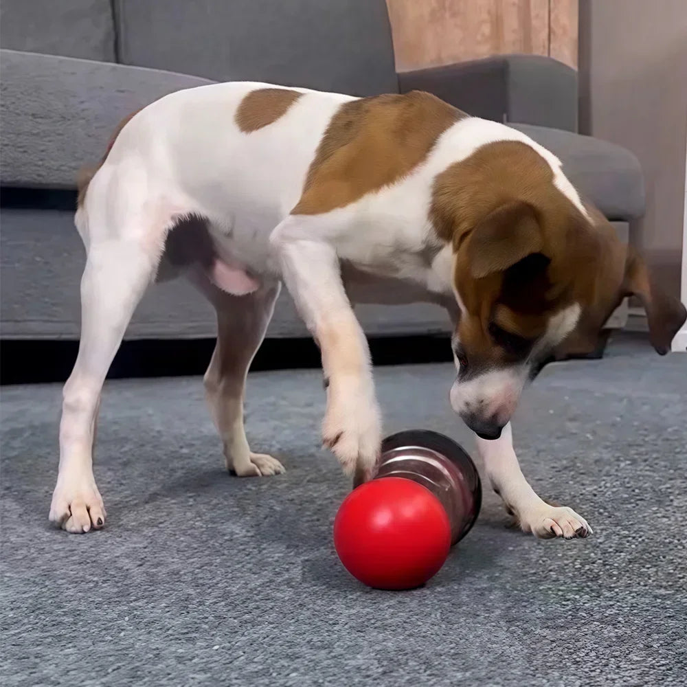 Interactive Dog Toy for Small Medium Large Dogs Cats Treat Dispenser Leaking Food Slow Feeder Pets Ball Toys Labrador Supplies