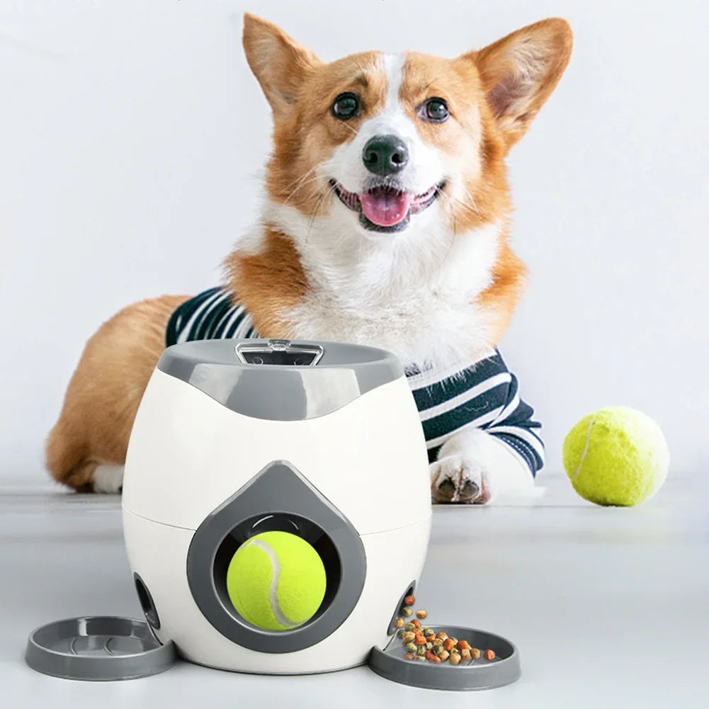 Lanceur de Balles Interactif & Machine de Récompense pour Petit & Moyen Chien – Jouet Éducatif de Dressage, Lancer & Rapport avec Friandises