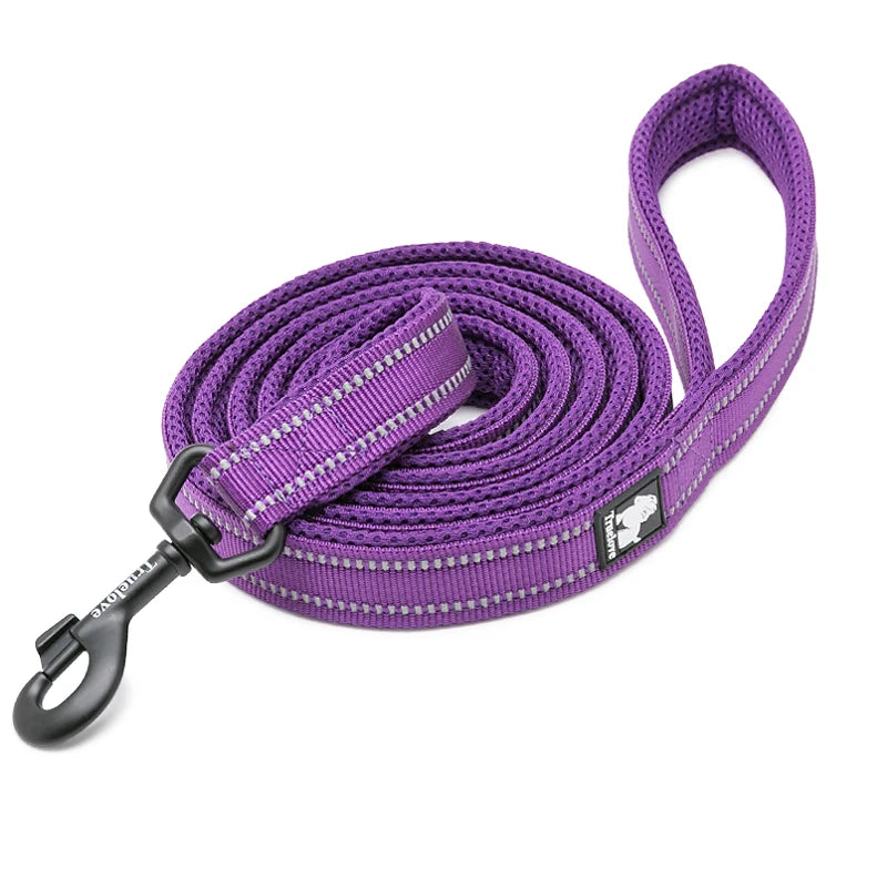 Laisse de Dressage 200 cm Winhyepet pour Chien – Laisse Longue Robuste avec Poignée Rembourrée Confort pour Petit, Moyen & Grand Chien