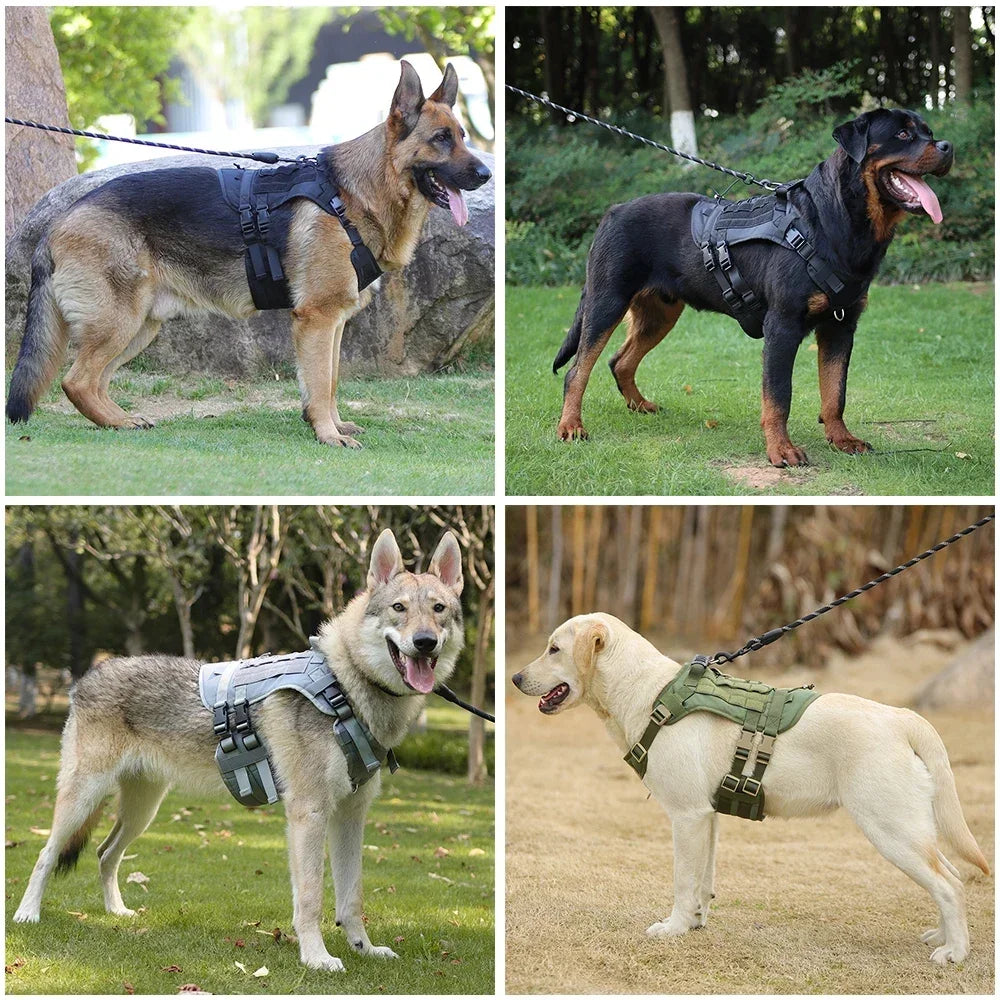 Tactical Dog Harness with Handle and Dog Leash Military Walking Dog Accessories for Medium Large Dogs Puppy Harness